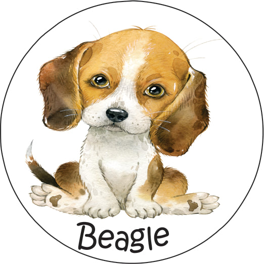 Pet Magnet