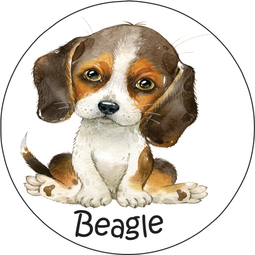 Pet Magnet