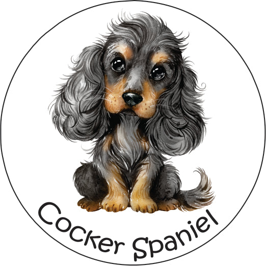 Pet Magnet