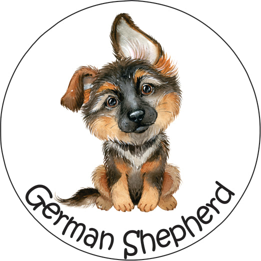 Pet Magnet