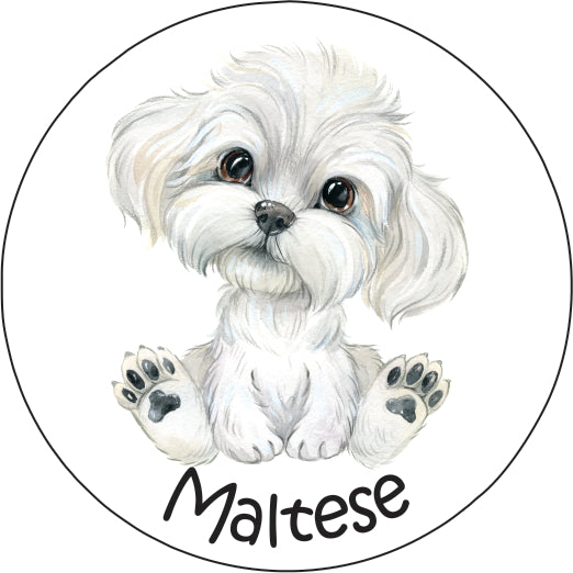 Pet Magnet