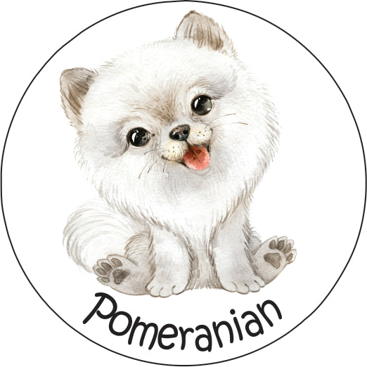 Pet Magnet