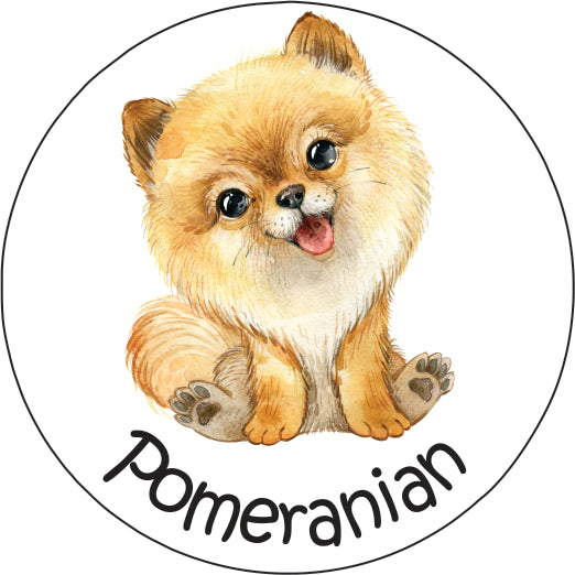 Pet Magnet