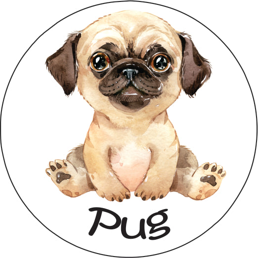 Pet Magnet